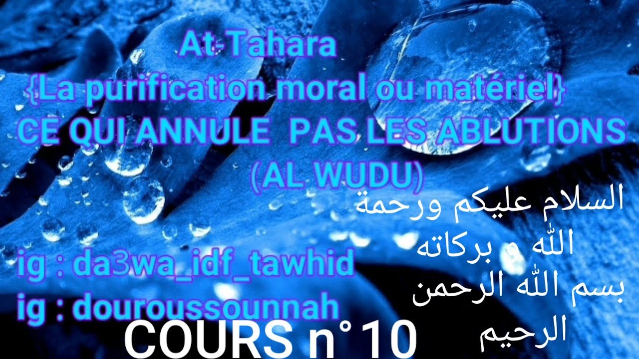 CE QUI ANNULE PAS LES ABLUTIONS (الطهارة) ~ Dars n°10 - Fiqh FR par Abu laith Uthman al Armany