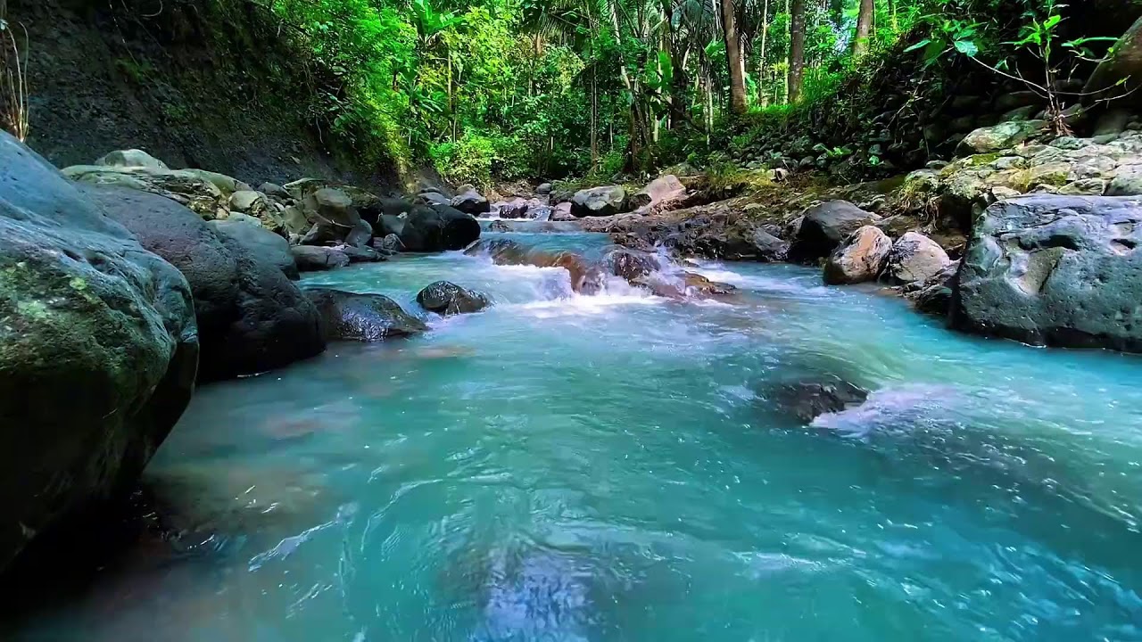 Natural Forest River Flow Sounds, Mountain Stream, Sleep
