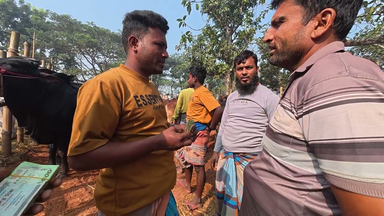 মহসিন বেপারী গুরু বিক্রি করে ফেলেছিল #goru #গরুরদাম #গরুরহাট #গরু #vlog #reel #cow #cattle 