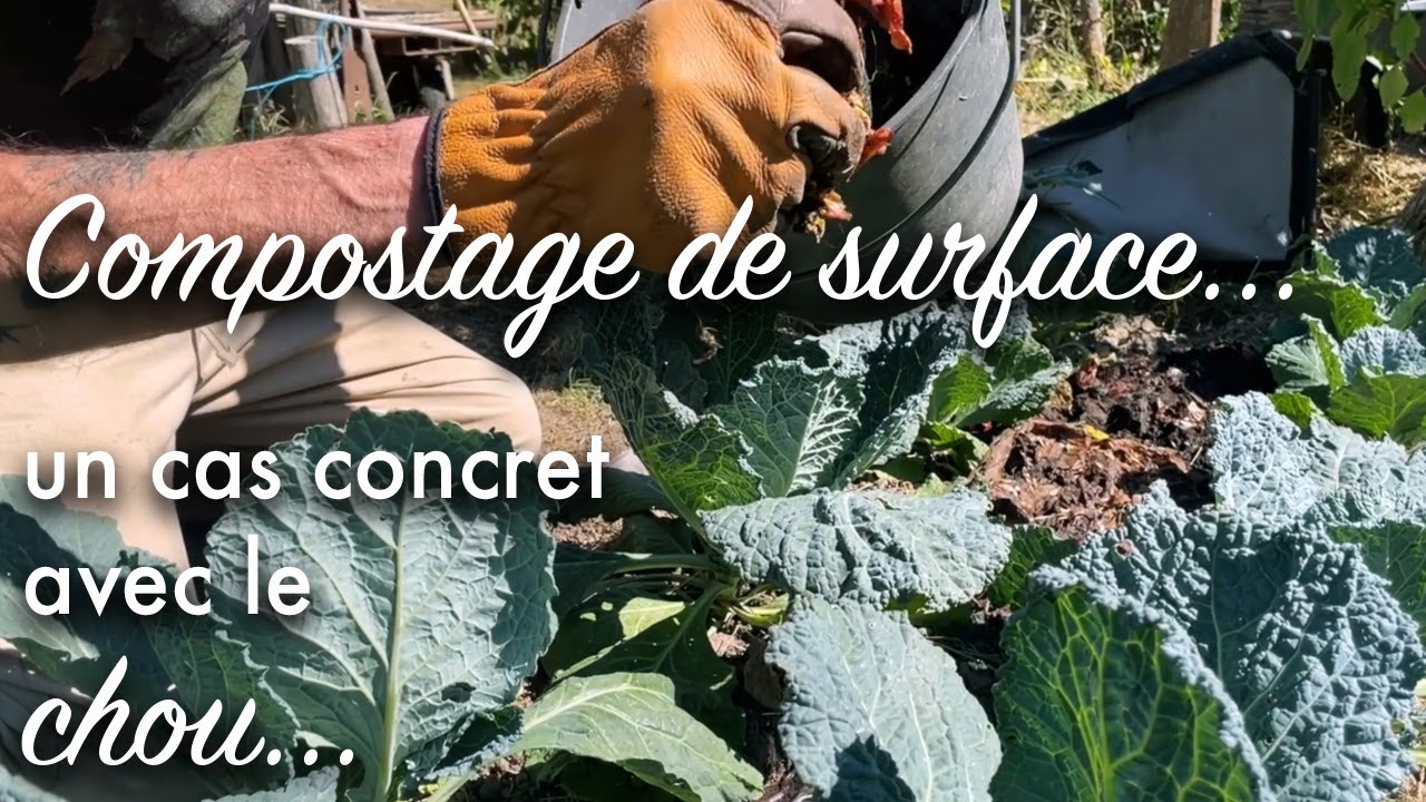 Le compostage de surface : un cas concret.