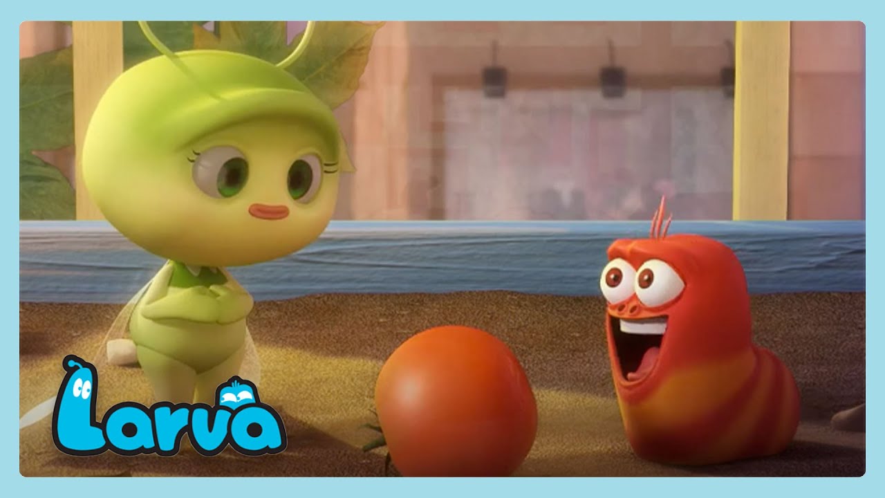 Red Falls In Love! | Larva | Wildbrain Nińos