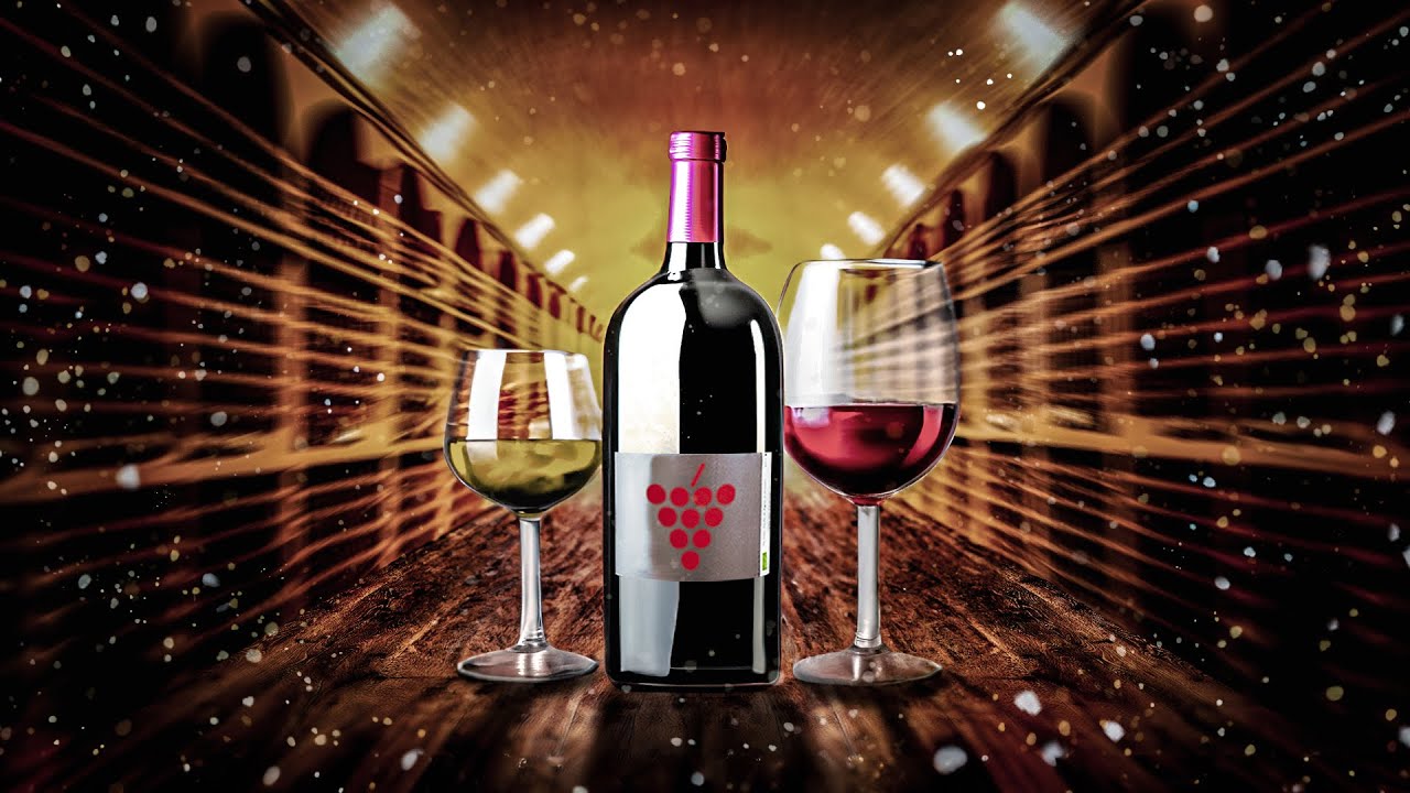 POURQUOI LES FRANÇAIS AIMENT LE VIN ? - LPLP - VIN