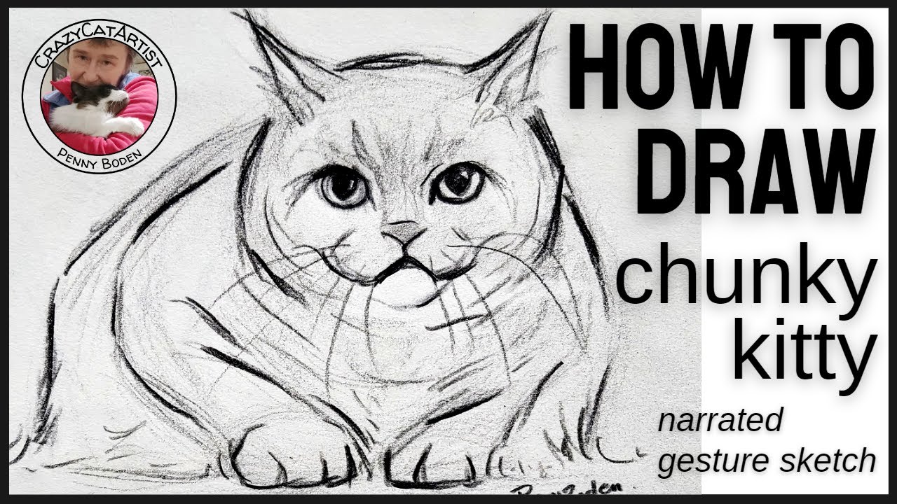 How to Draw Chonky Cat Loaf Position fat chubby chunk British Blue shorthair, simple sketch tutorial
