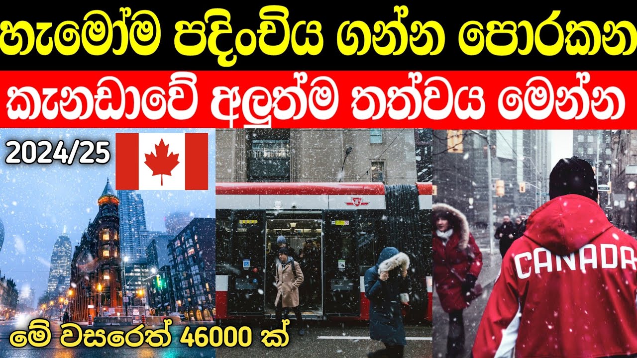 කැනඩාවේ නවතම තත්වය මෙන්න | පදිංචිය වේගවත් වෙයි | canada in 2024