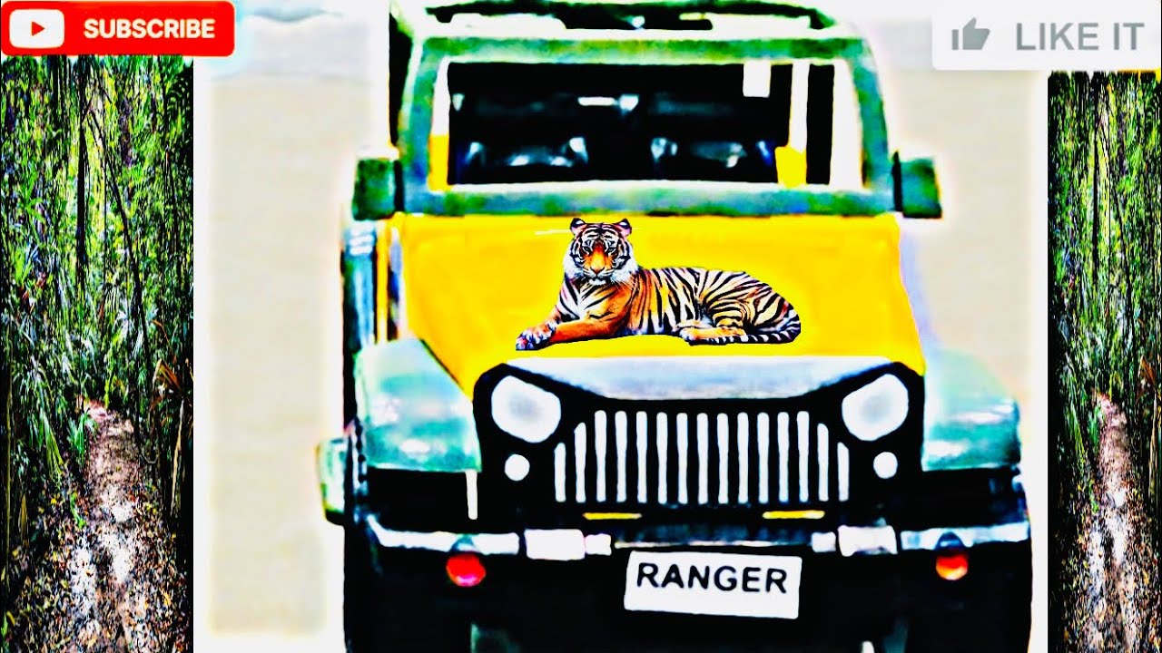 Unboxing and testing of Ranger Jungle Safari SUVs by Wheels Force. Its colour is - Yellow military. 