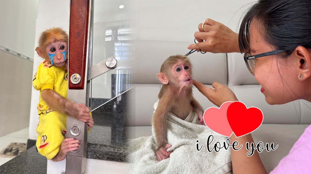 Lucky sobs quietly when she sees Mom cutting Sunny’s hair, thinking Mom doesn’t love her anymore!