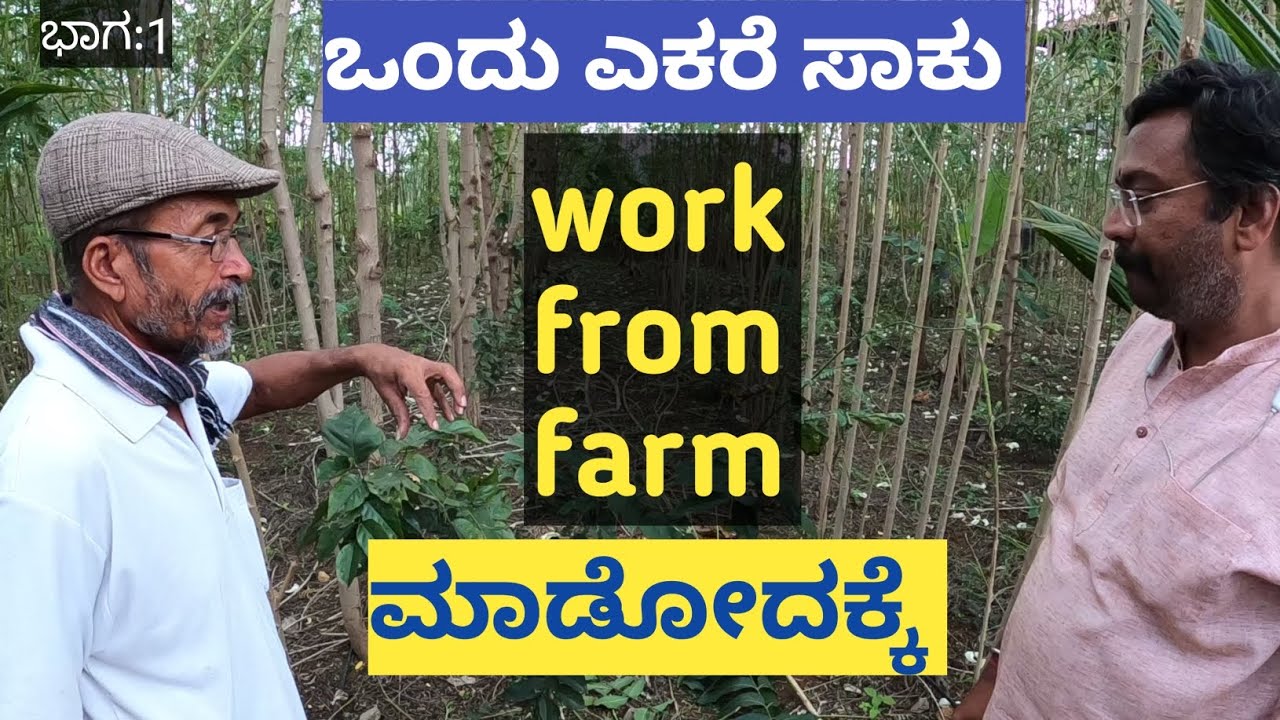 ಒಂದು ಎಕರೆ ಈ ರೀತಿಯಾದ ತೋಟ ಮಾಡಿದರೆ ನಿಮಗೆ ಎಷ್ಟು ಲಾಭ ಸಿಗುತ್ತದೆ ಗೊತ್ತಾ... ಯಾವ ರೀತಿಯ ಲಾಭ ಸಿಗುತ್ತದೆ  ಗೊತ್ತಾ
