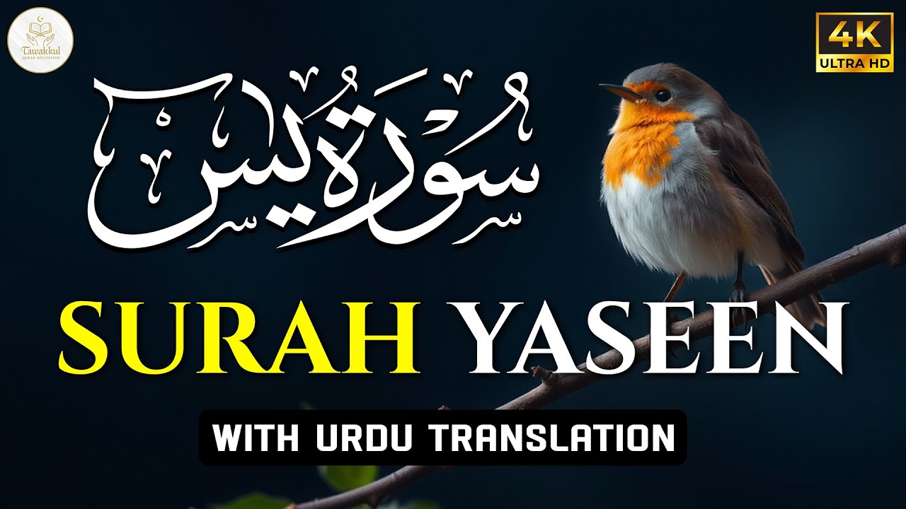 Surah Yasin with Urdu Translation Full | Beautiful Quran Recitation| Quran with Urdu & Hindi Tarjama