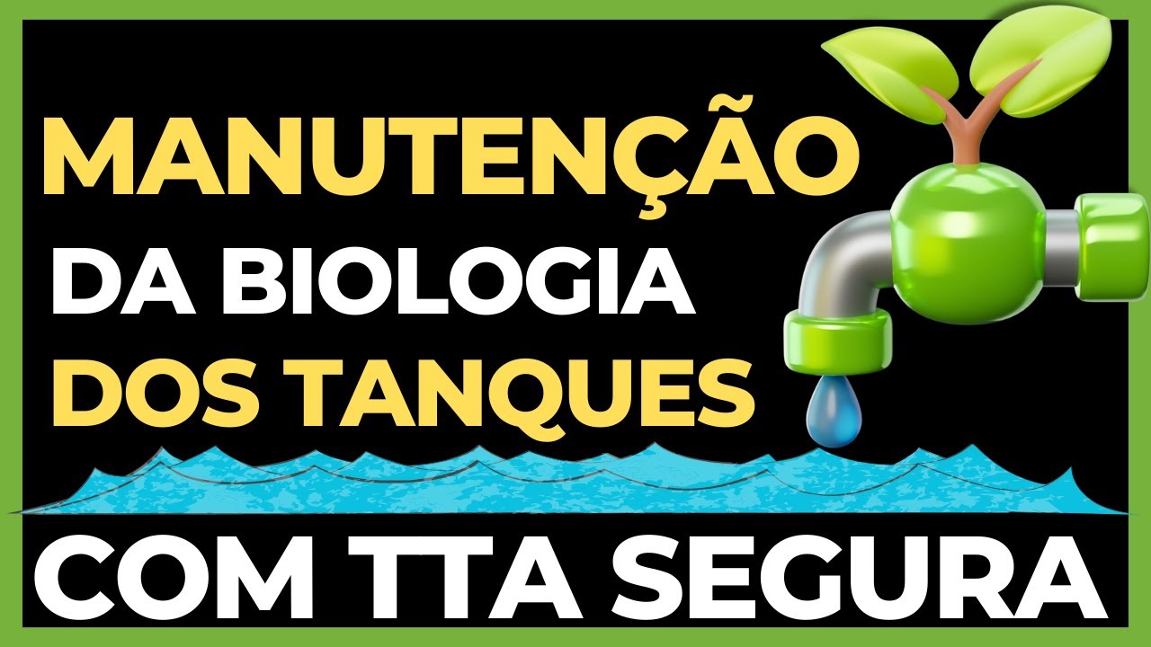Mantenha a biologia intacta, mesmo com TTA no tanque dos Bettas.