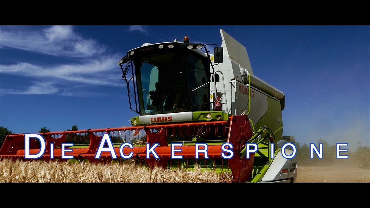 Claas Tucano 430 in der Gerste