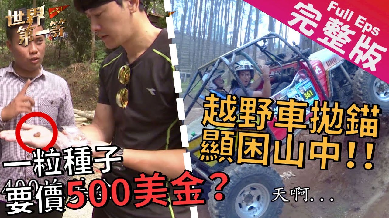 《世界第一等》926集【印尼】超嗨滑沙/海中變色龍/菩提子/越野車｜完整版