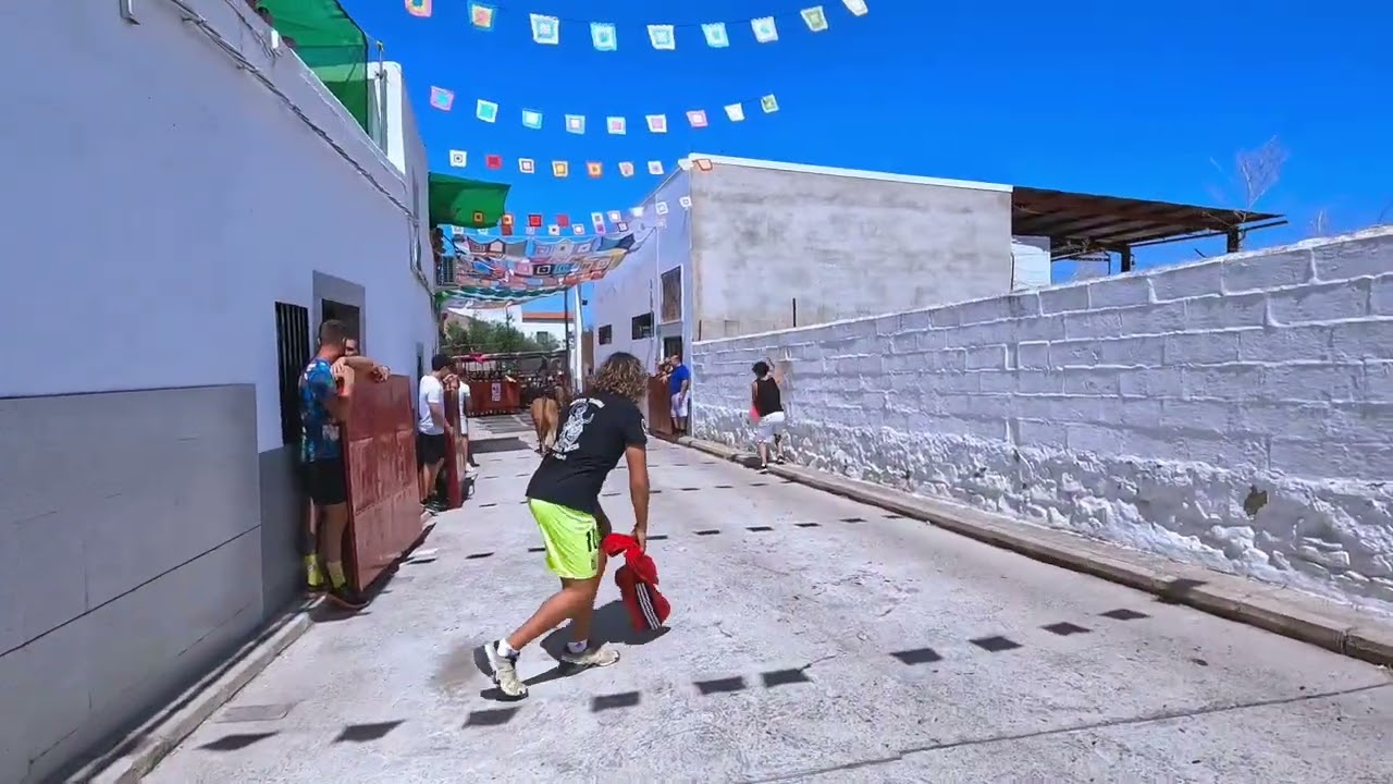fiestas de santa ana el viso vaquilla