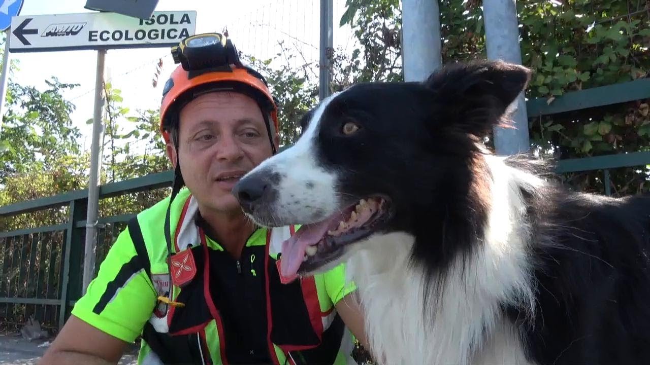 Genova, il vigile del fuoco Angelo e il cane Fly: 