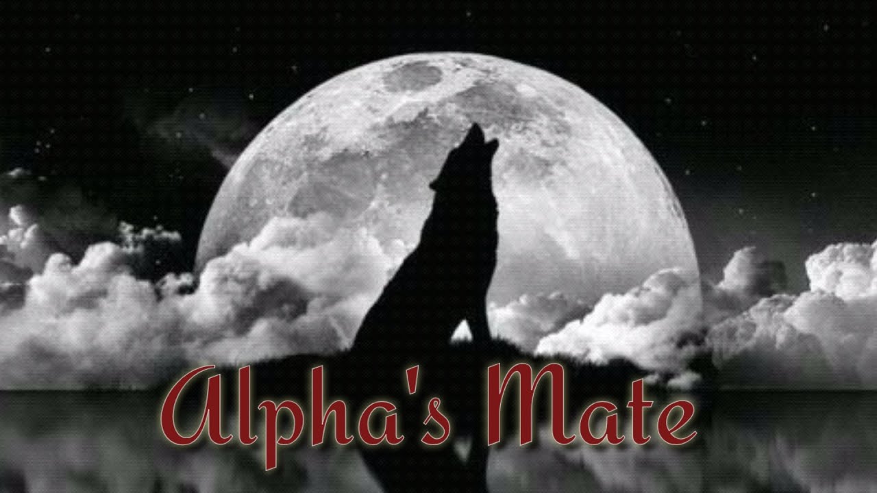 [BTS FF] [Part 13] Alpha's Mate: HAPPY BIRTHDAY JK!!