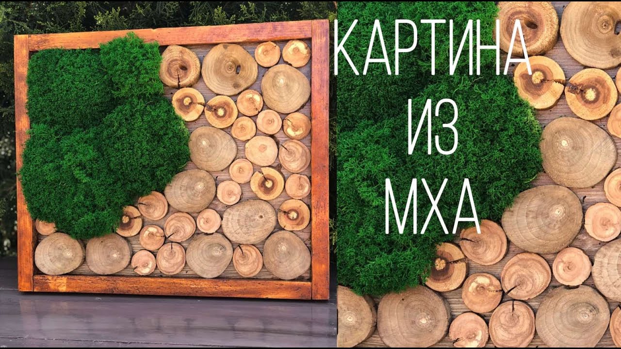 КАРТИНА ИЗ СТАБИЛИЗИРОВАННОГО МХА СВОИМИ РУКАМИ || КАРТИНА ИЗ ЖИВОГО МХА || PICTURE FROM LIVING MOSS