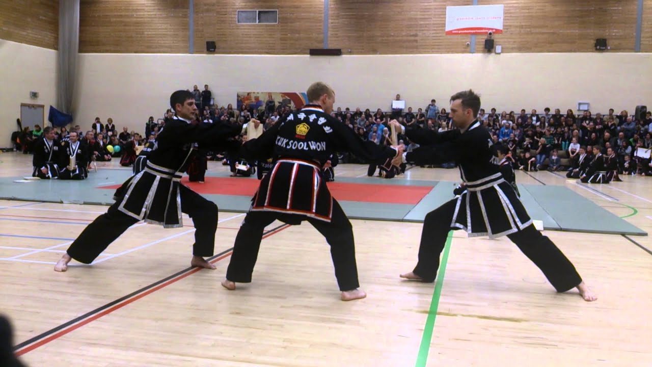 Kuk Sool Won UK championships masters demo