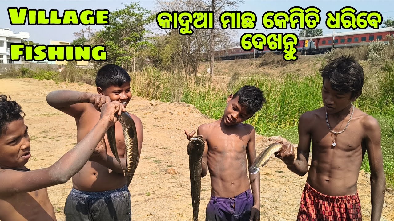 କାଦୁଅ ମାଛ କେମିତି ଧରିବେ ଦେଖନ୍ତୁ || Village Fishing || Village Treditional Fishing 