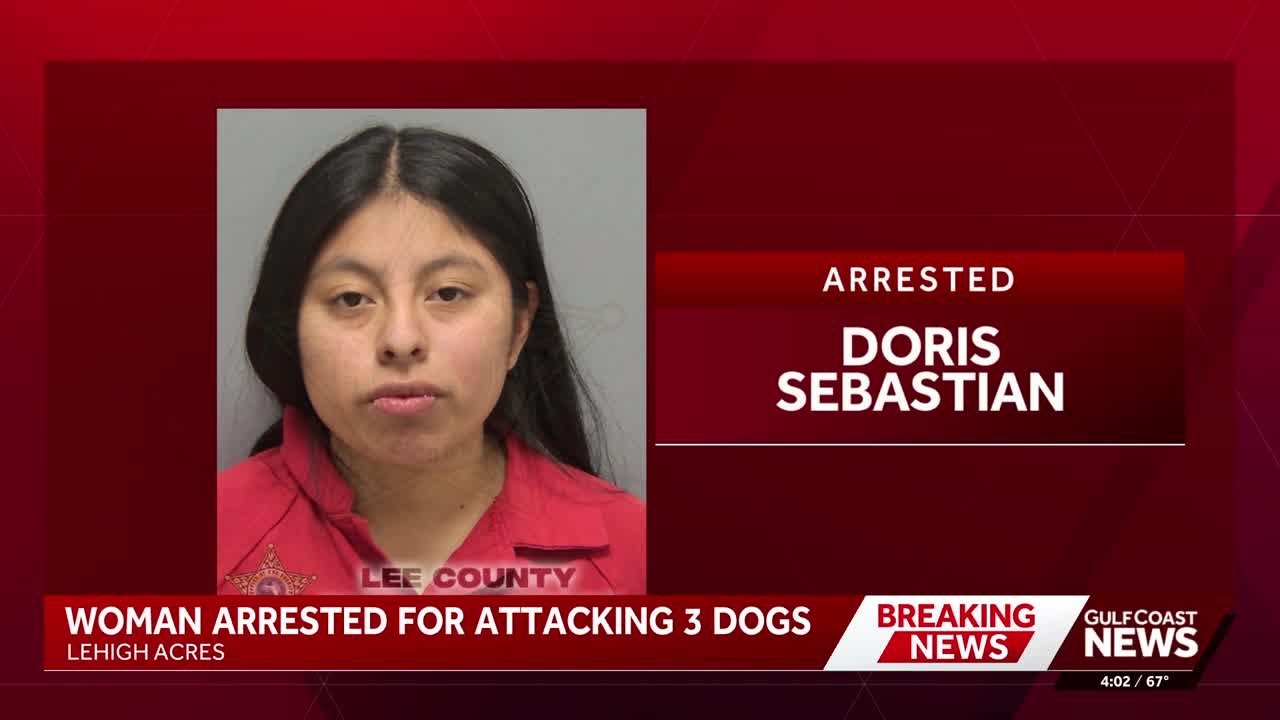 Florida woman accused of hit-and-run bathed in stranger’s pool before kicking dogs