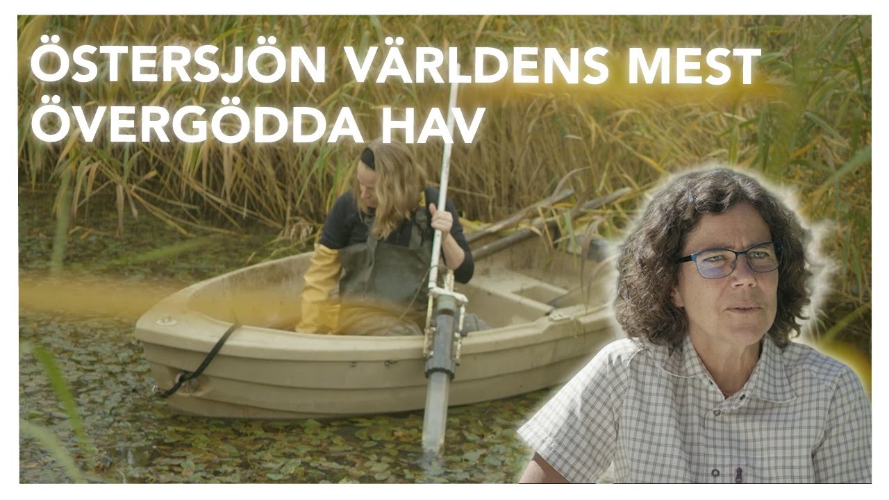 &Ouml;stersj&ouml;n: v&auml;rldens mest &ouml;verg&ouml;dda hav - trots &aring;rtionden av &aring;tg&auml;rder