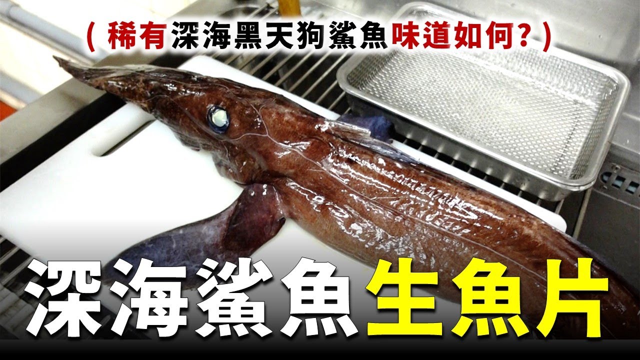有鼻頭粉刺的鯊魚！大溪漁港發現稀有深海黑天狗鯊魚，生魚片的味道簡直是...