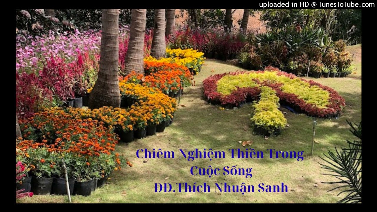 Chiêm Nghiệm Thiền Trong Cuộc Sống (Phần 2)_ĐĐ.Thích Nhuận Sanh_Thiền Viện Bồ Đề