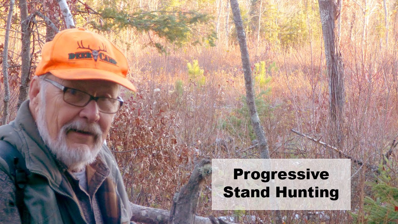 Progressive Stand Hunting — A Deer Hunting Technique