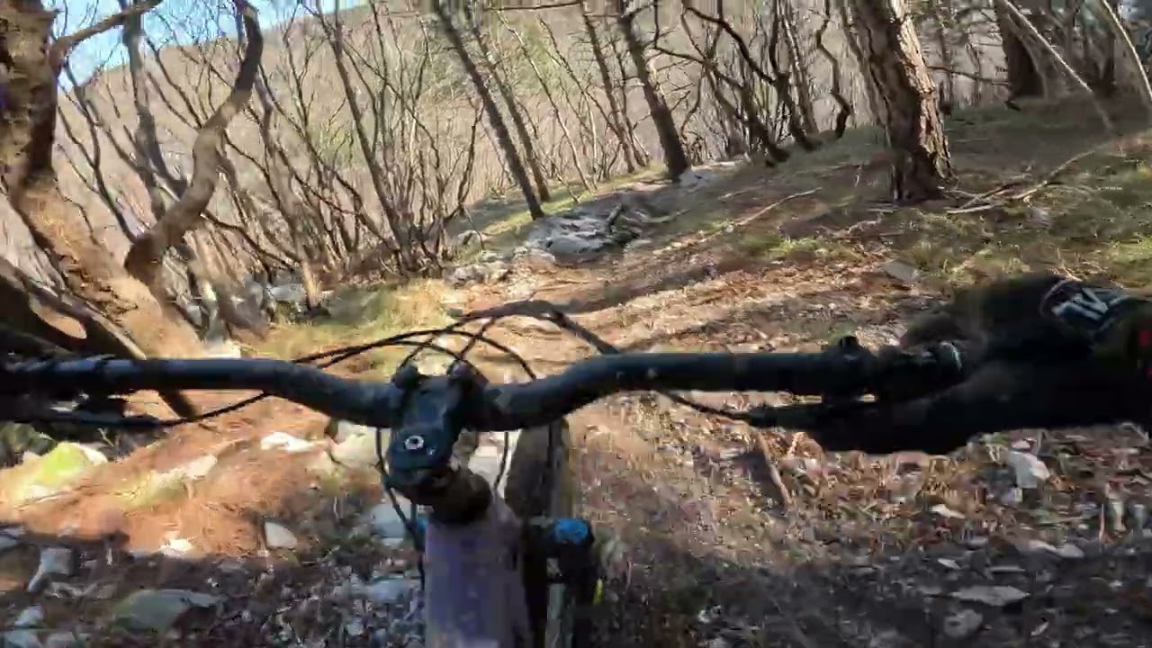 Wada full run (kletvice warning)