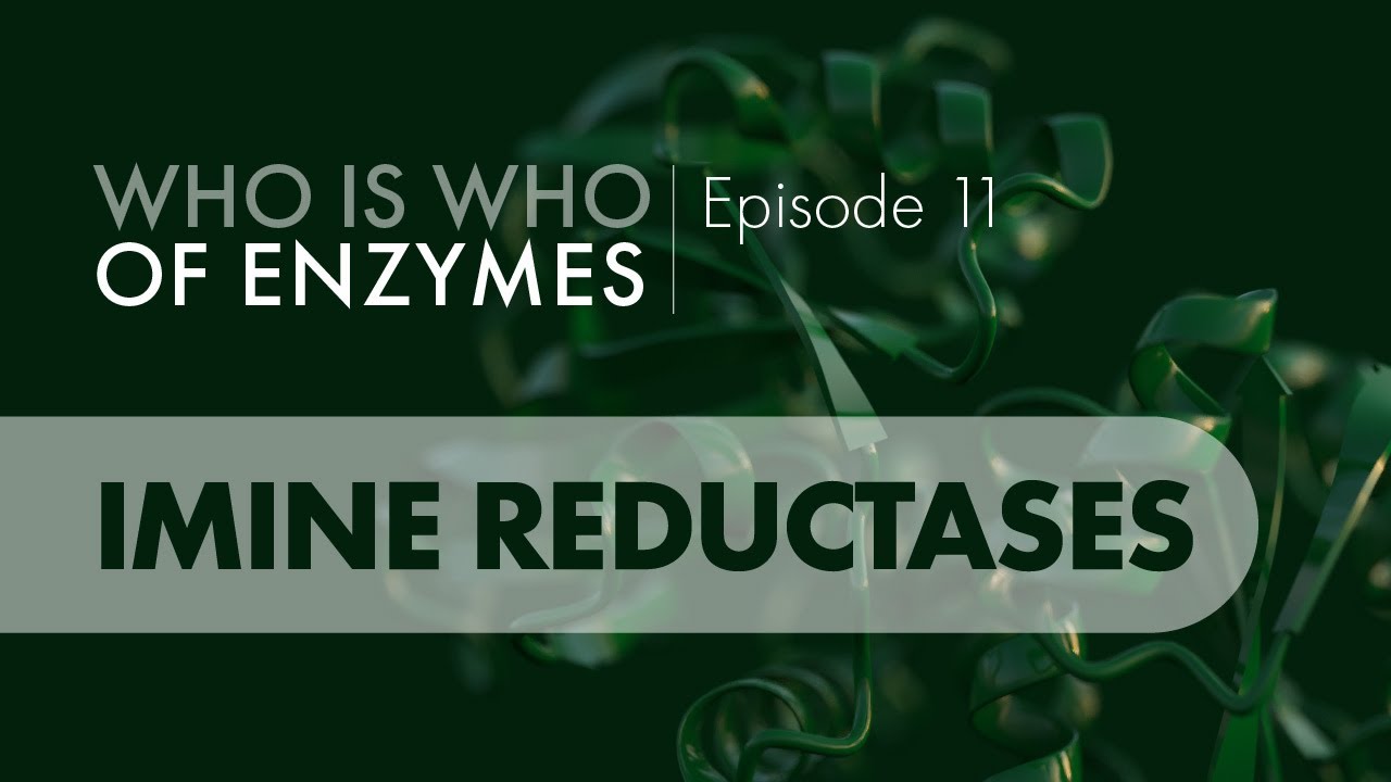 Who Is Who of Enzymes: Imine Reductases