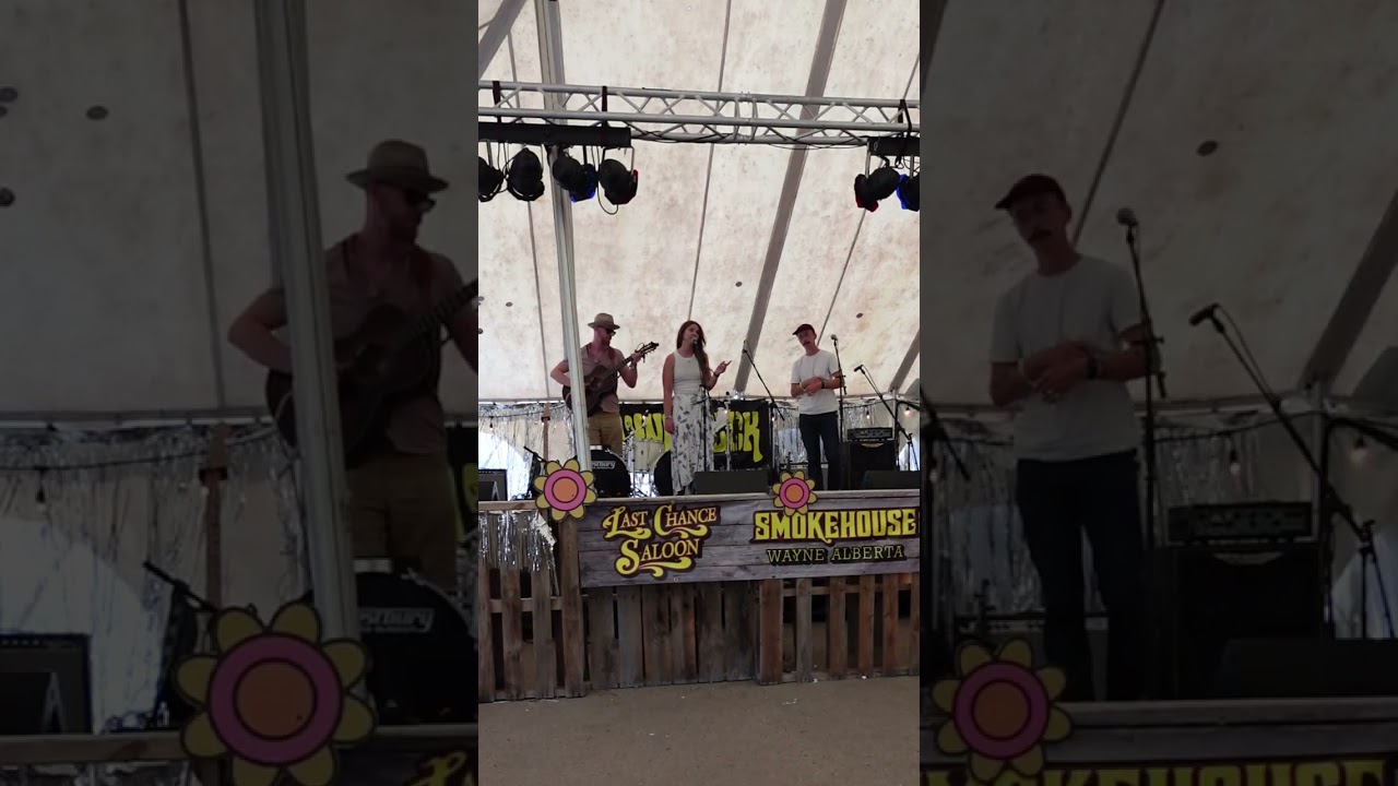 Like Bob Dylan live from Waynestock 2025