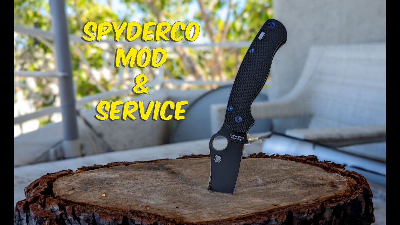 New Spyderco Knife!