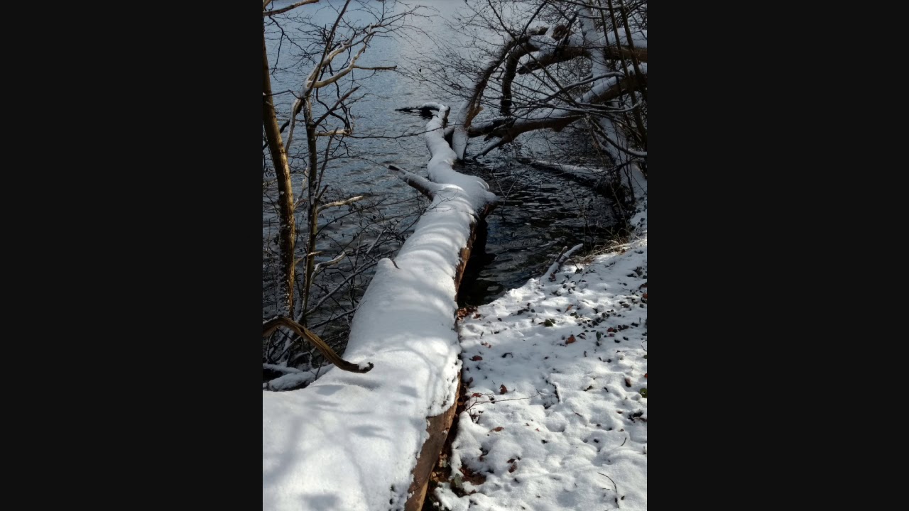 Winter am Tiefwarensee