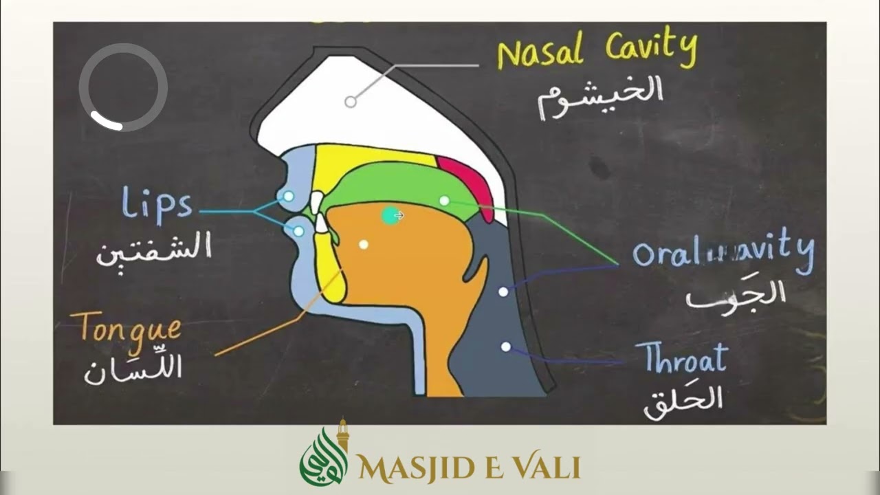 ‘Tajweed Lessons’ | Surah Al Fatiha & An Nas - with Qari Qasim & Maulana Shoayb