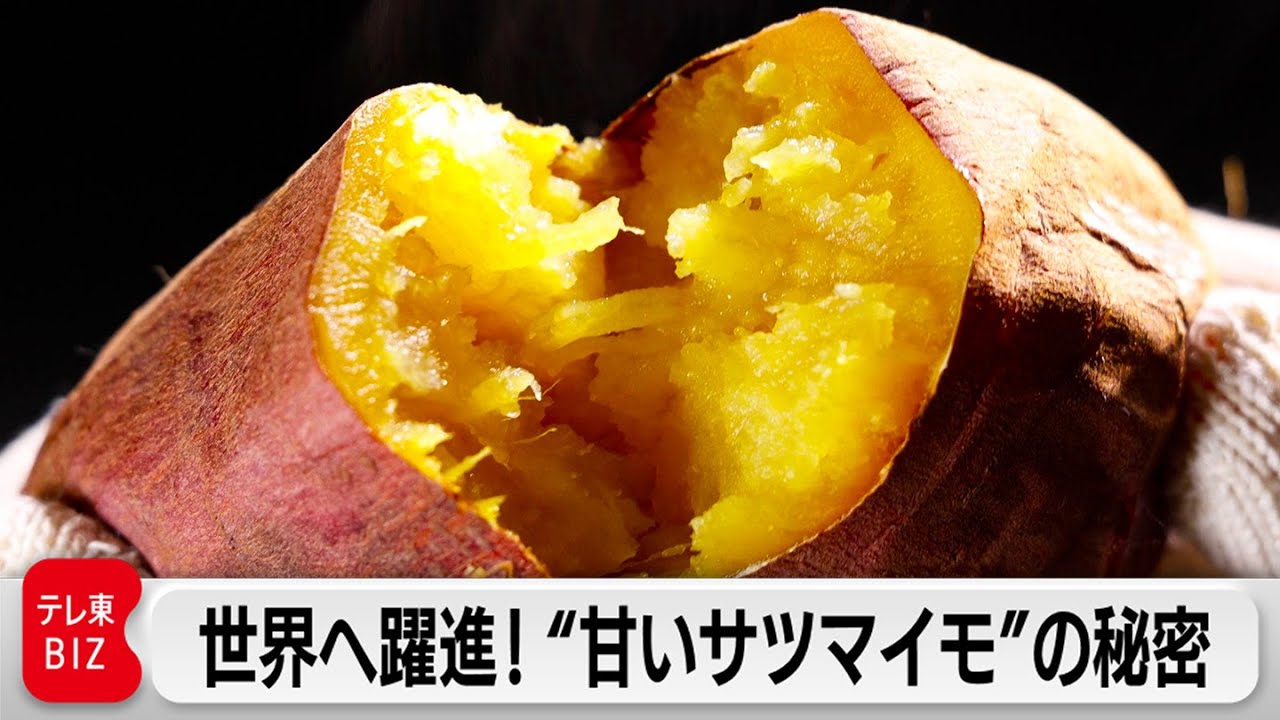 国内外で大ブーム！宮崎発のサツマイモ会社！独自の熟成技術で唯一無二の味に【カンブリア宮殿】（2023年10月12日）