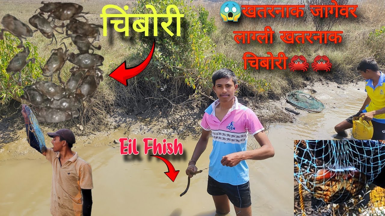 आज गेलतो खतरनाक जगेवार लाग्ली खतरनाक चिंबॉरी kam 50 🦀😱🦀