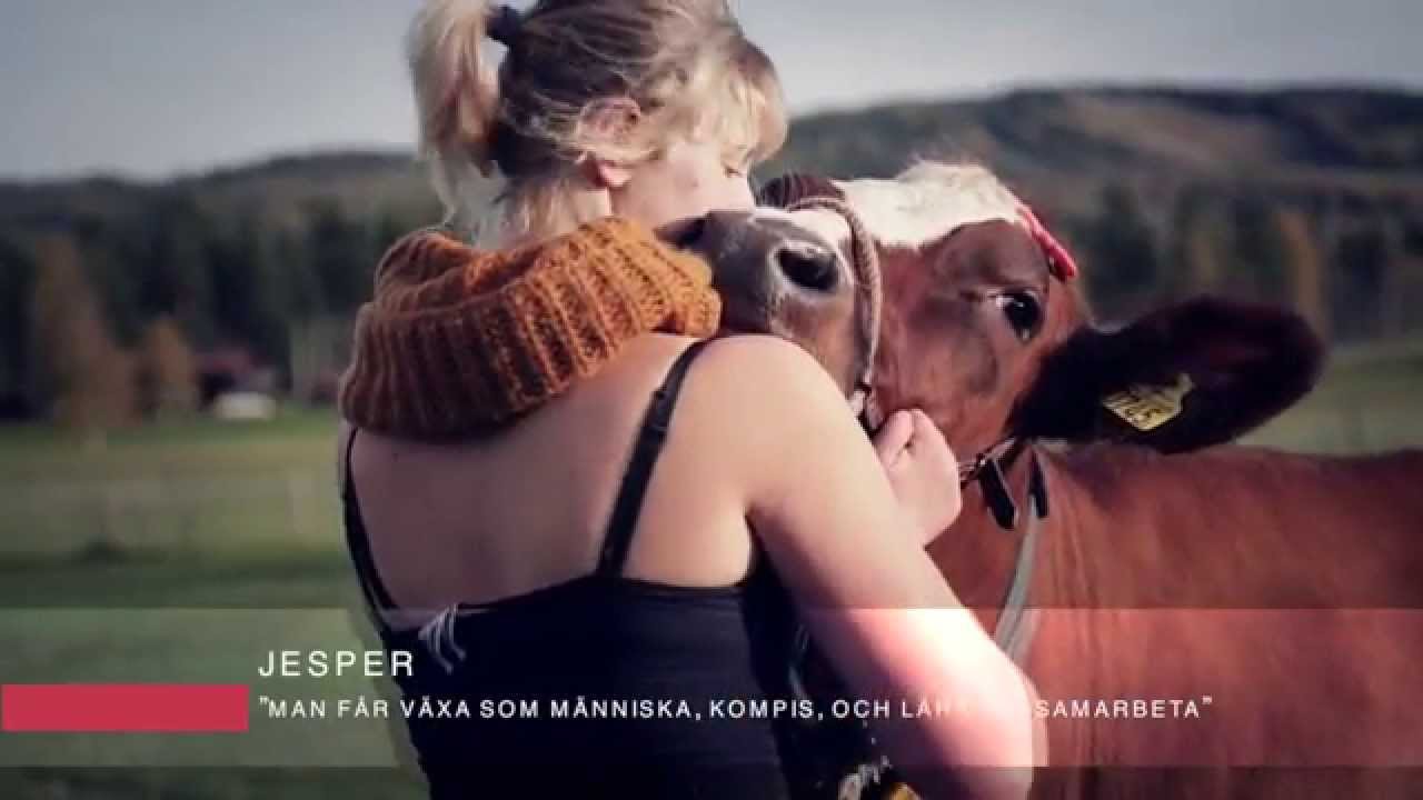 Stiernhööksgymnasiet i Rättvik