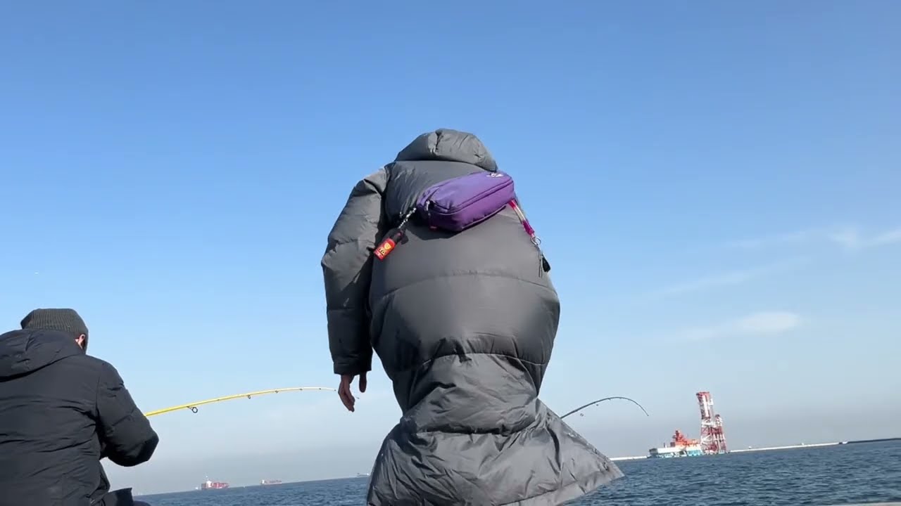 【釣り】アジをたくさん釣りました