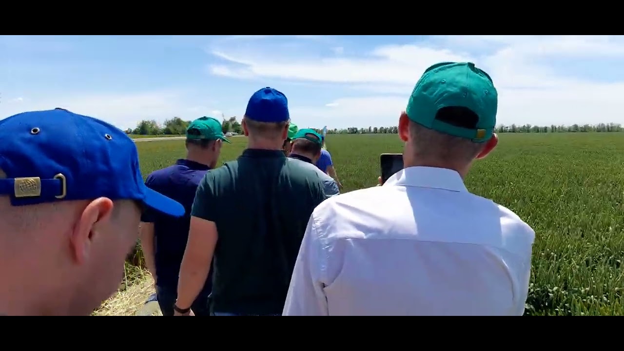 Поездка к Виктору Викторовичу. Сорта пшеницы.
