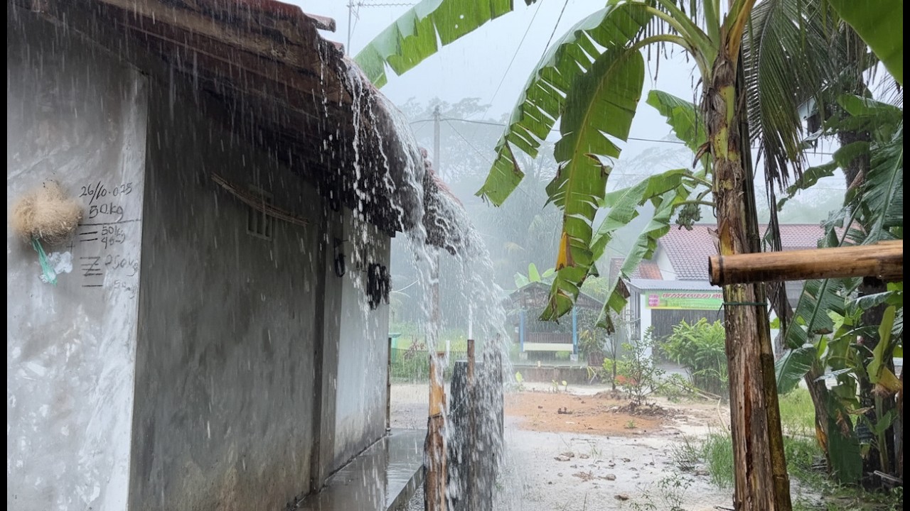 Relaxing Village Rain Morning | Soft Countryside Ambience for Calm Mind