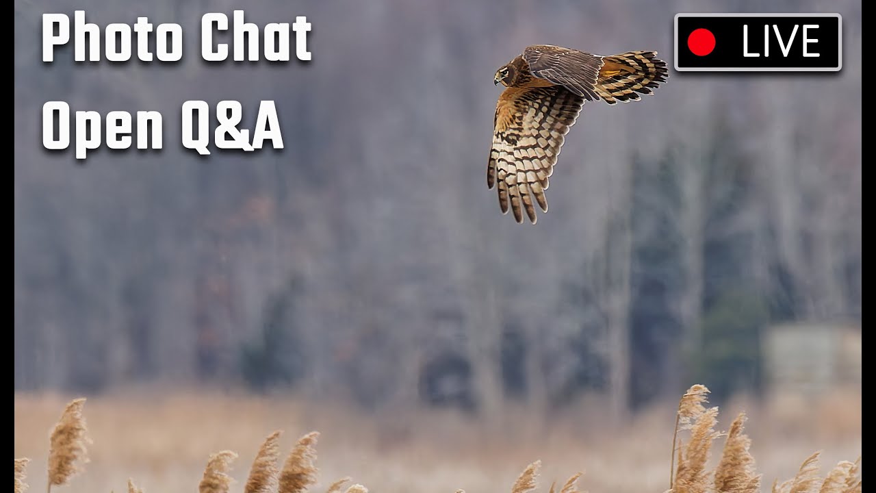 Photo Chat Live w/Open Q&A
