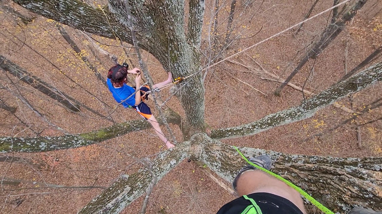 Tree Camping in the Rain
