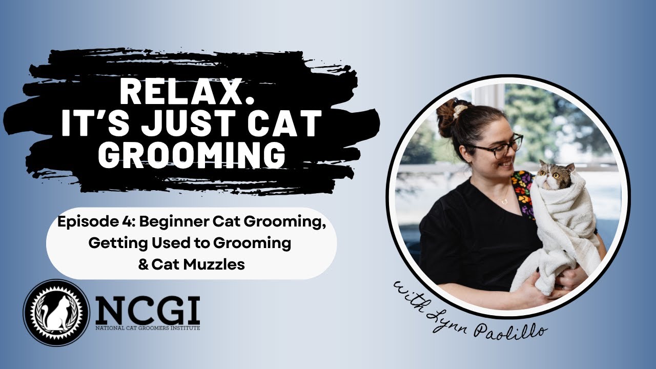 Beginner Cat Grooming, Getting Cats Used to Grooming & Muzzles | Relax. It’s Just Cat Grooming Ep 4