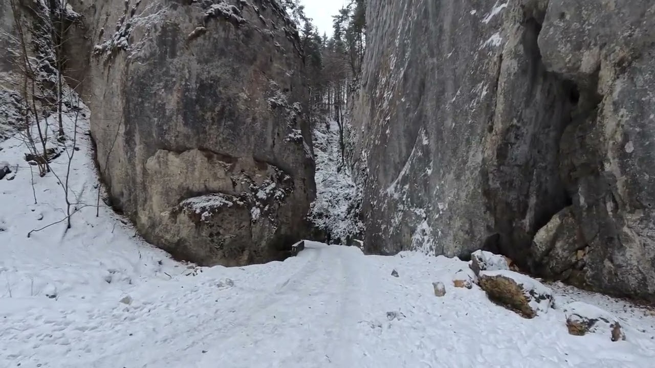 Prapăstiile Zărneștiului – Iarna în 4K | Natură sălbatică din Munții Piatra Craiului ❄️🏔️