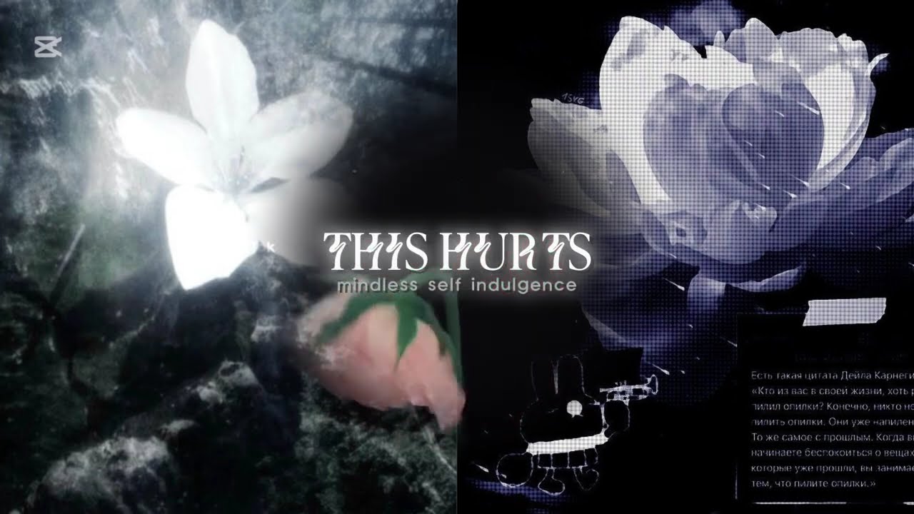audios because flowers are blooming in antartica . | timestamps