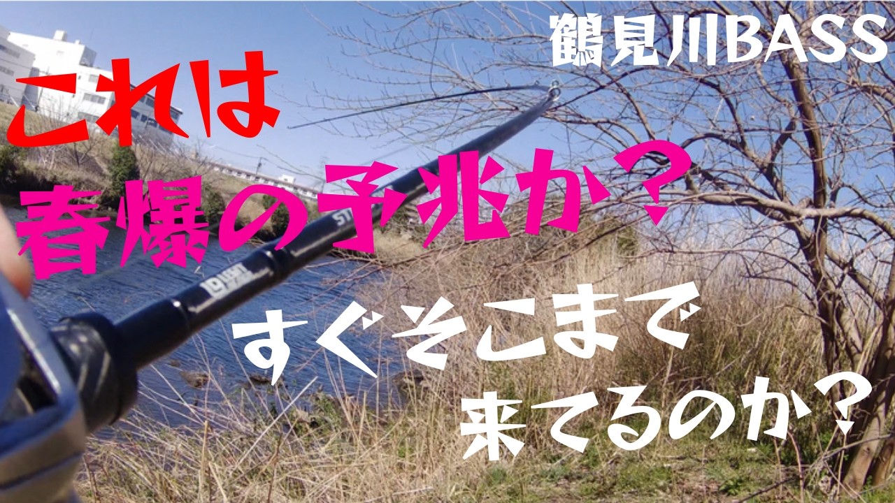 (実釣）3月8日春爆の予兆か？魚はいるぞ渋々1本の巻🐟！