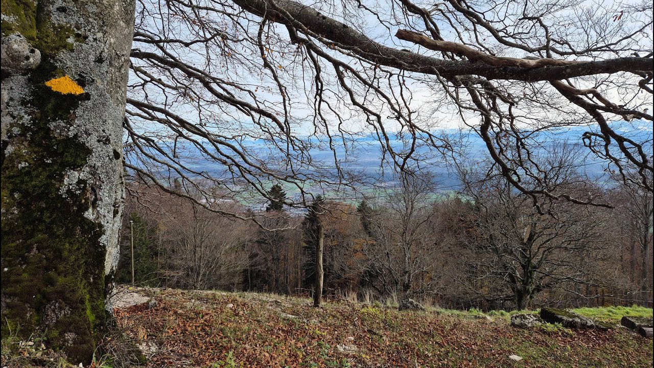 Flug von der Buechmatt (Jura Südfuss) zur Klus mit Blick übers Berner Mittelland bis zu den Alpen