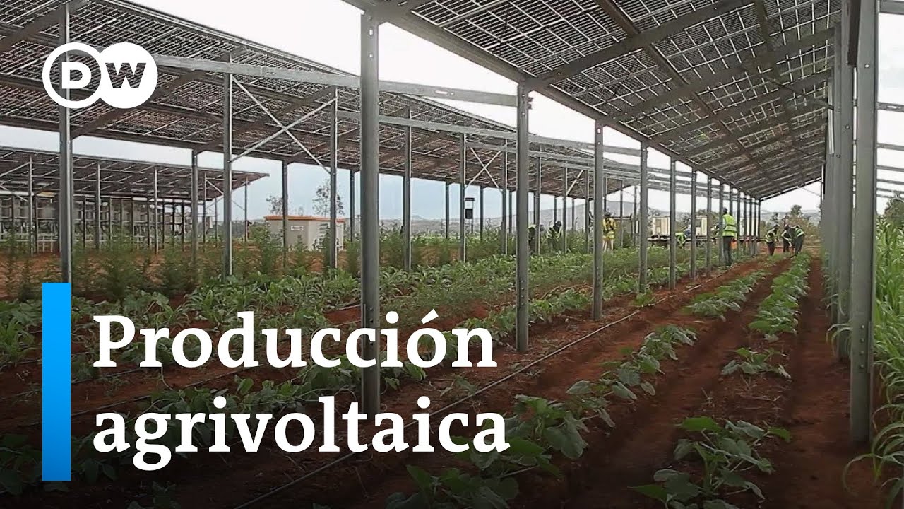 Fusionar la energía solar con la agricultura