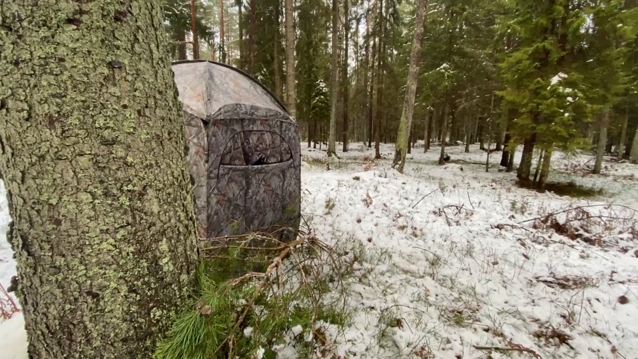 SARNY Z CZATOWNI - musiałem szybciej skończyć nagrywać.