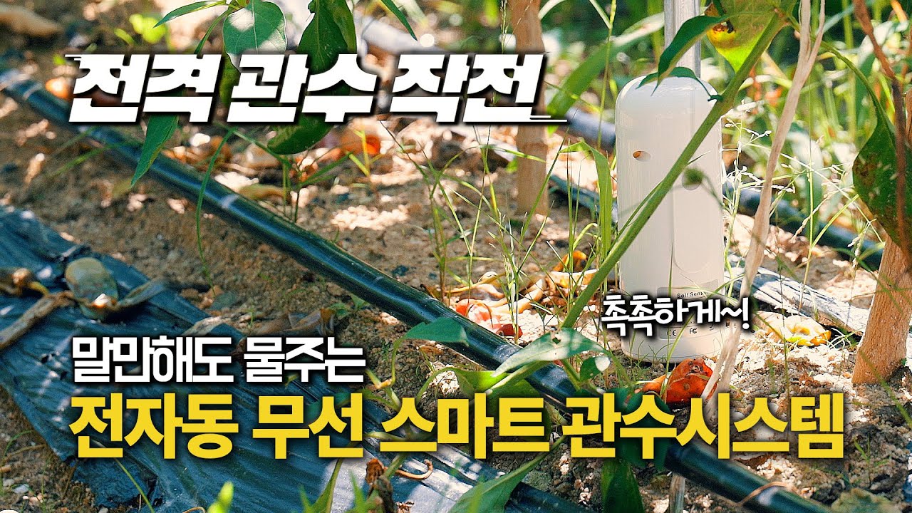 말만해도 알아서 물주는 전자동 무선 스마트 관수 시스템 만들기