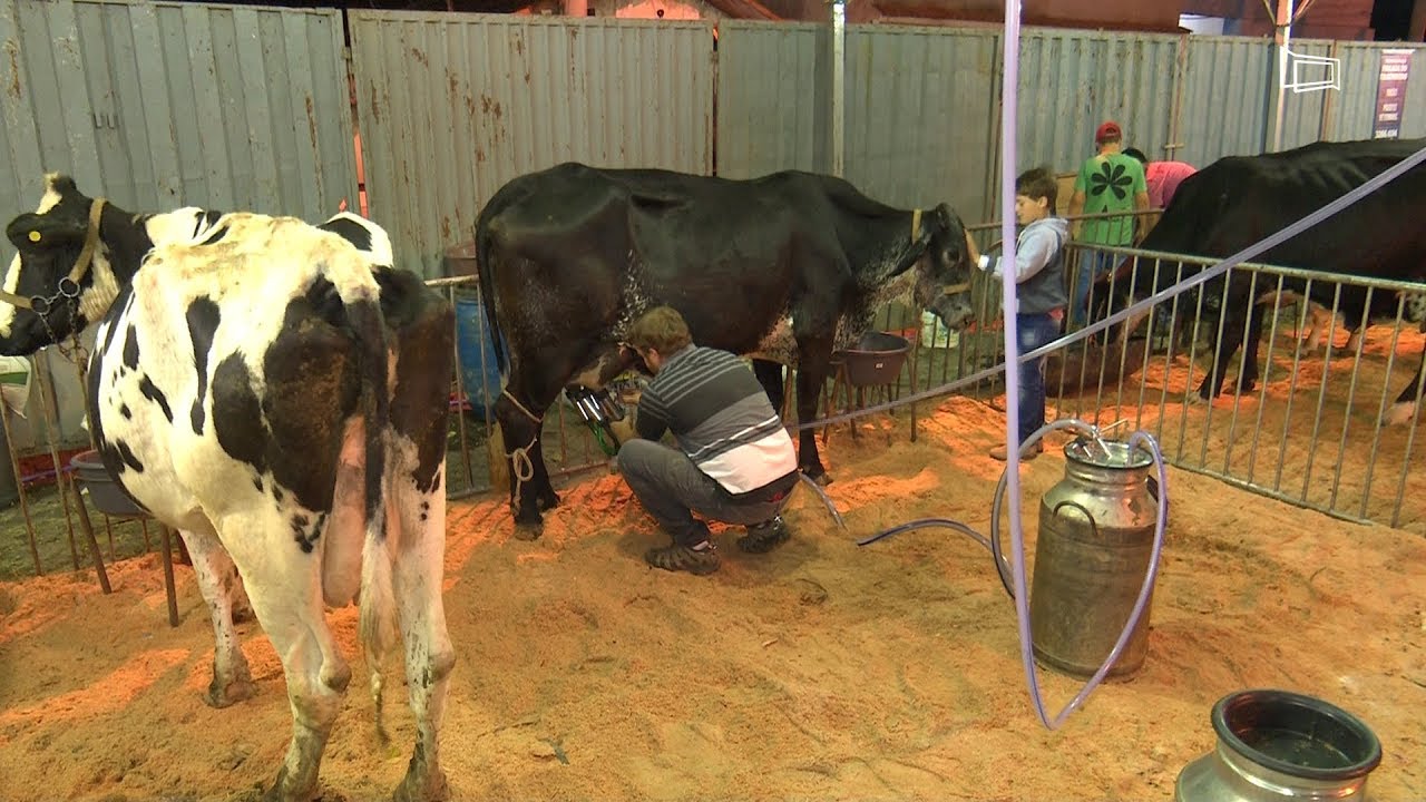 34&ordm; Torneio Leiteiro movimenta Torre&otilde;es