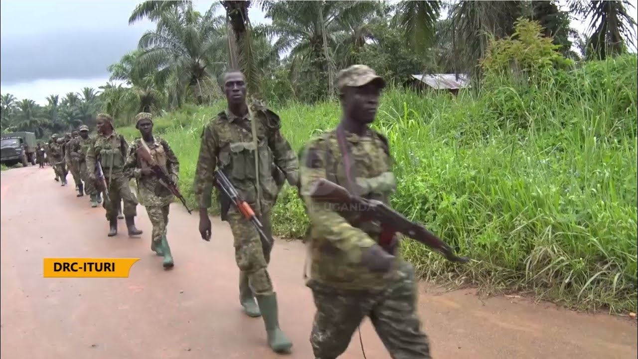 Операция «Шуджаа» — в джунглях Демократической Республики Конго убит командир АДС в Багдаде